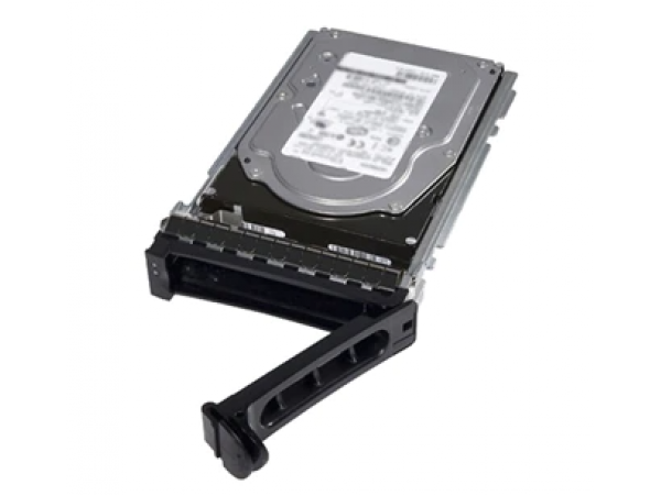 HDD Dell 12TB 7.2K RPM NLSAS 12Gbps 512e 3.5in Hot-plug Hard Drive