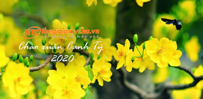 Thông báo lịch nghỉ Tết Dương lịch 2020 và Tết Nguyên đán Canh Tý