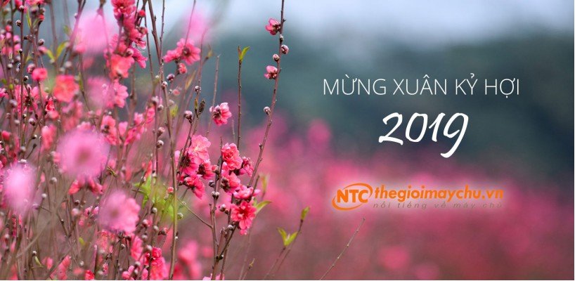 Thông báo Lịch nghỉ Tết Nguyên Đán Kỷ Hợi 2019