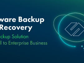 Storware Backup&Recovery for Virtual environment license (per Host)